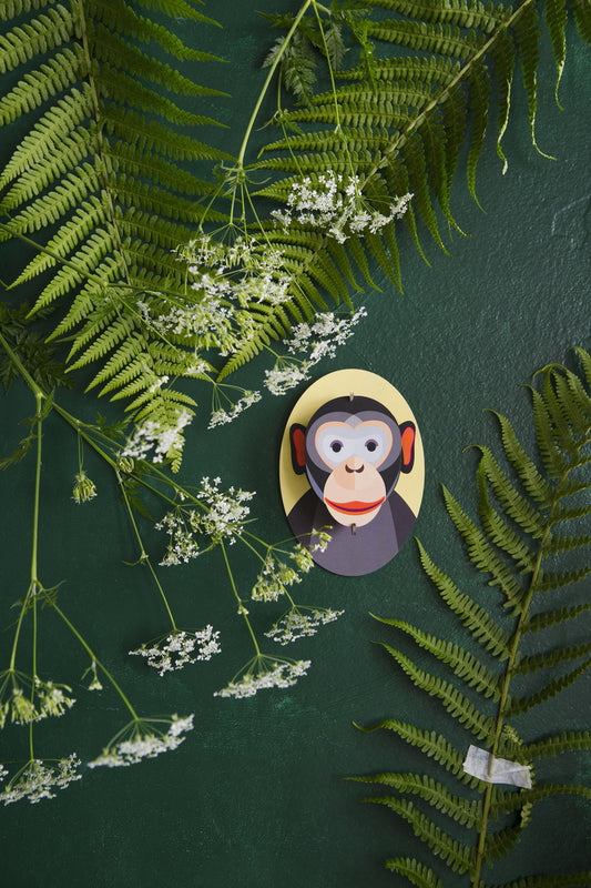 studio ROOF 圓圓小猴子