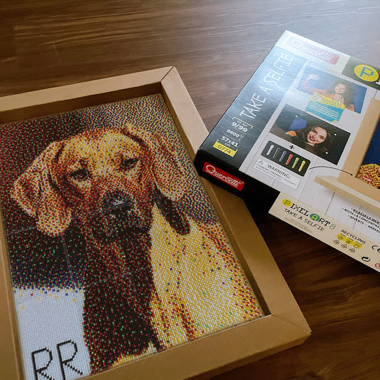 Quercetti 丁丁像素畫