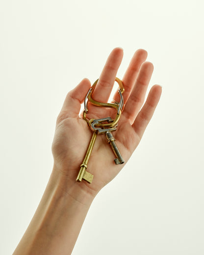 Craighill｜Coachwhip Carabiner｜S型金屬扣環