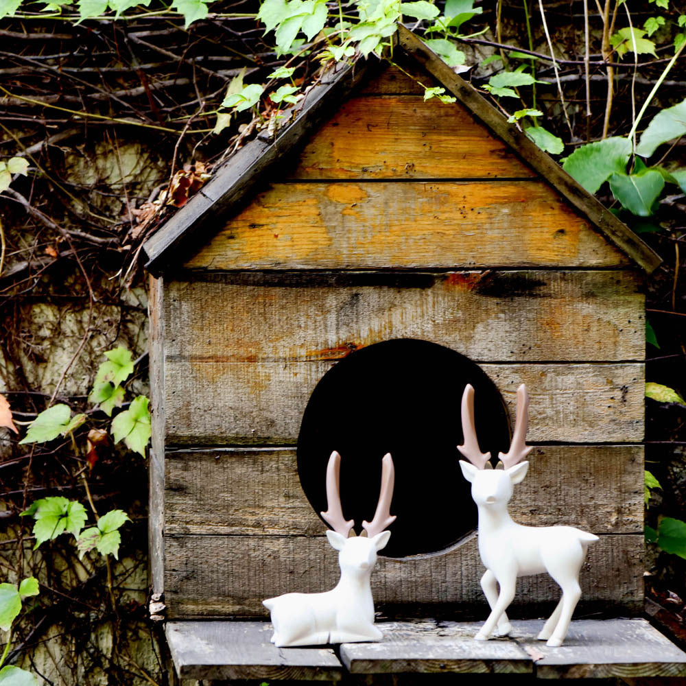 I thinking｜Dear Deer Pliers-尖嘴鉗/斜口鉗