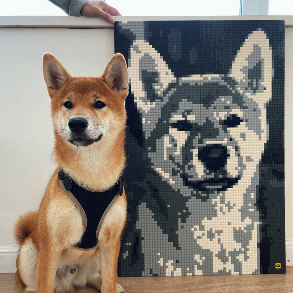 MOZABRICK 馬賽磚（M）